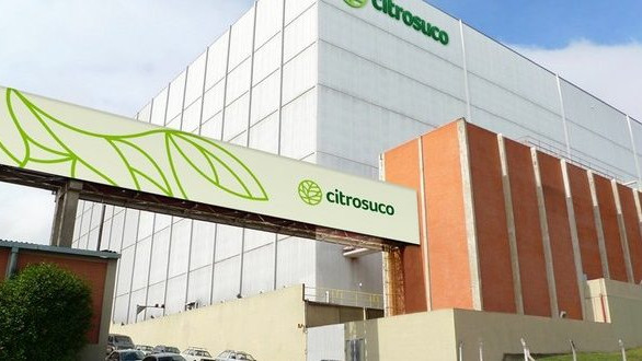 liderança e cultura organizacional