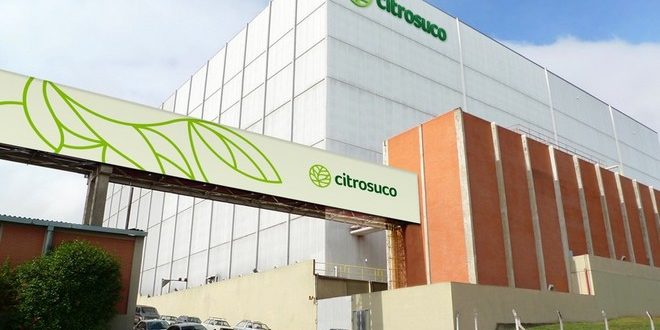 liderança e cultura organizacional