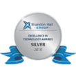 Silver Excellence in Technology